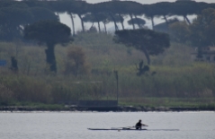Sculler on Lago di Patria