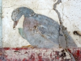 Detail from a fresco in the Villa San Marco in Stabiae